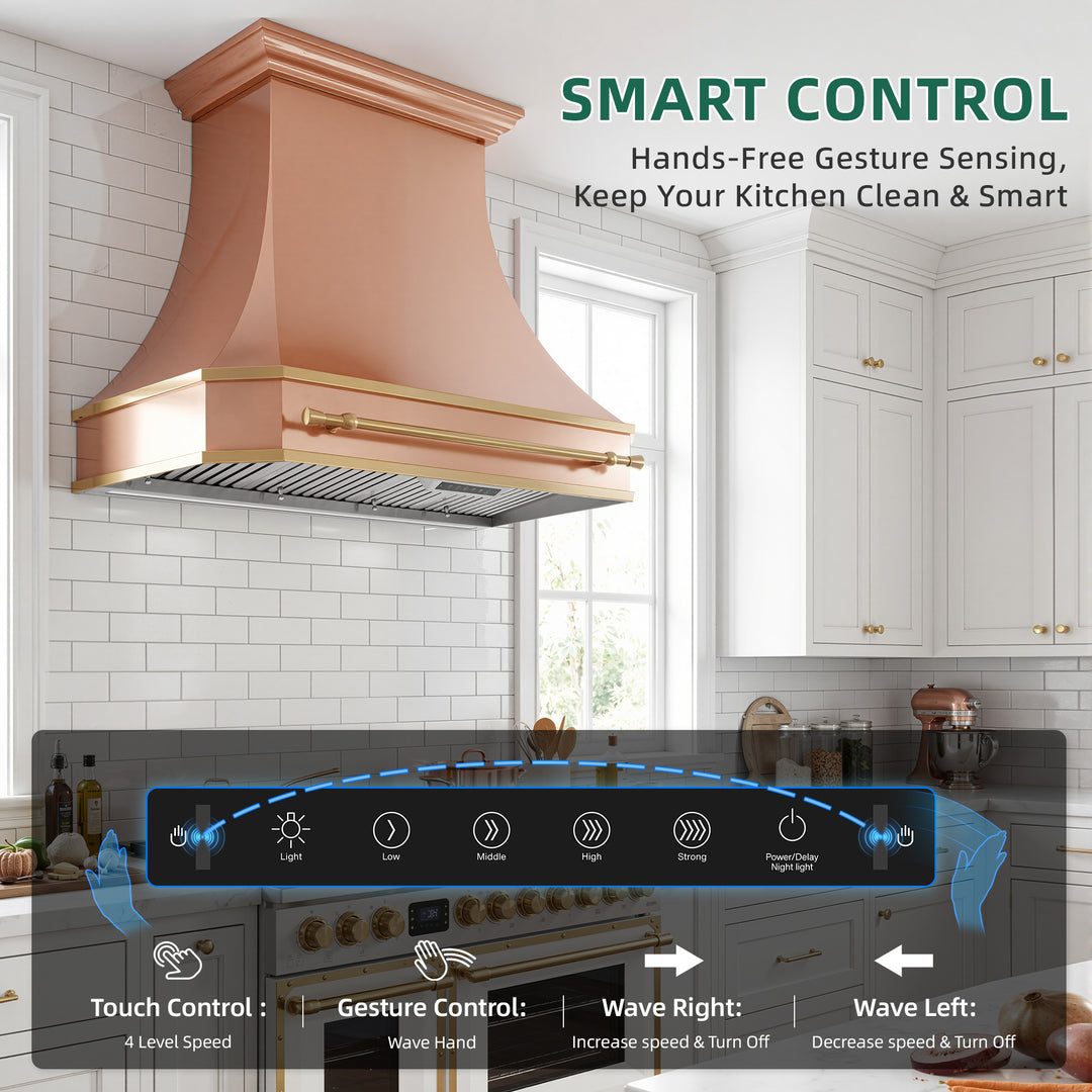 Nauxus 42" Built-In Range Hood Insert – 1200 CFM Stainless Steel Hood with Touch &amp; Gesture Control