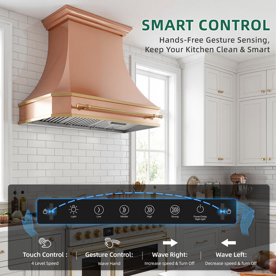 Nauxus 42" Built-In Range Hood Insert – 1200 CFM Stainless Steel Hood with Touch &amp; Gesture Control