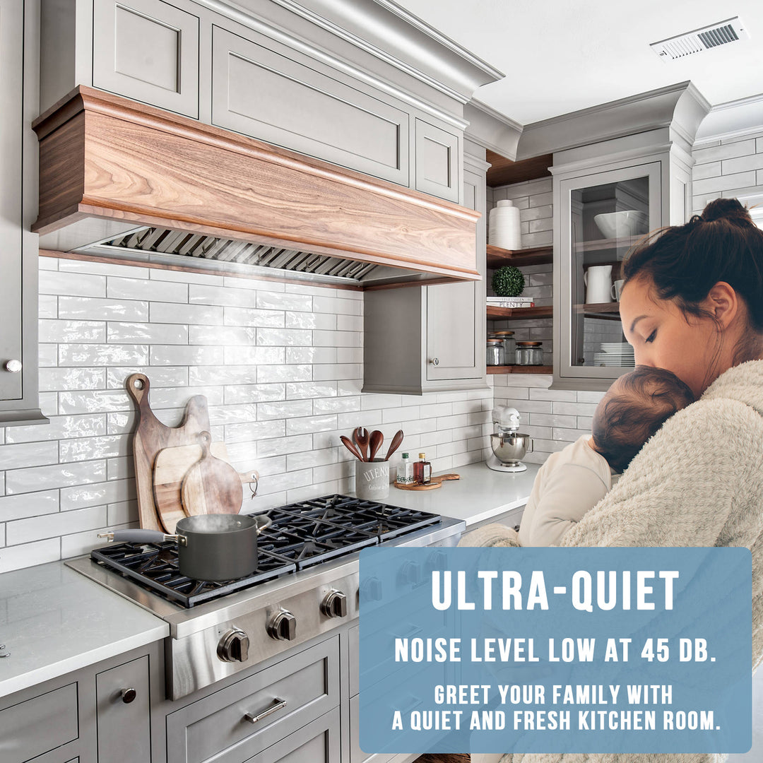 kitchen range hood insert
