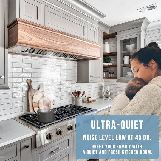 kitchen range hood insert