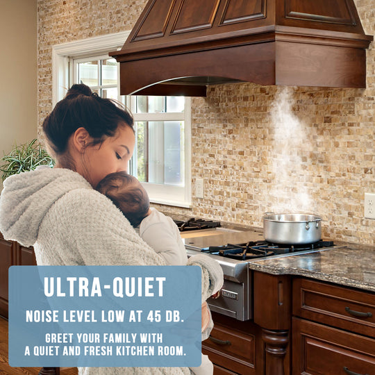 kitchen range hood insert