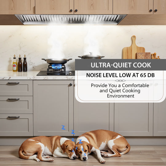 Quiet Range Hood 